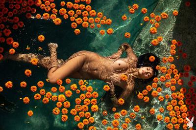 Anita Pathammavong Nude