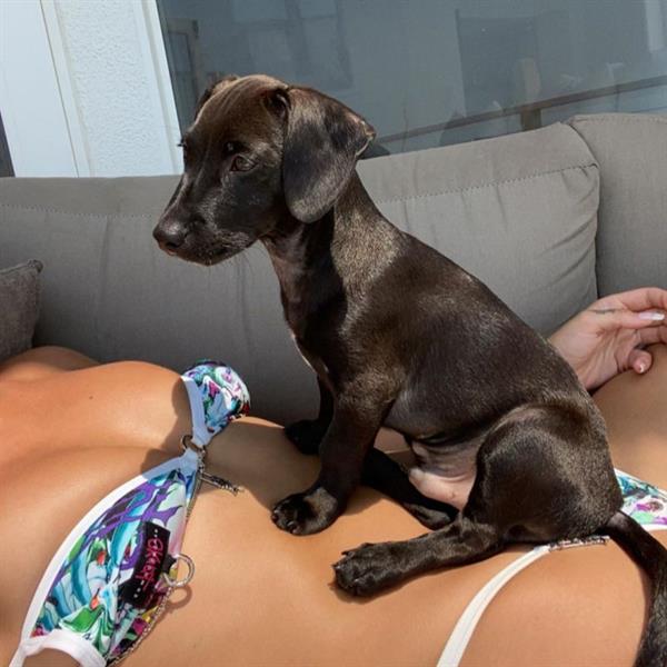 Dua Lipa wearing a sexy thong bikini with her top pulled together showing off her big tits with her dog sitting on her.