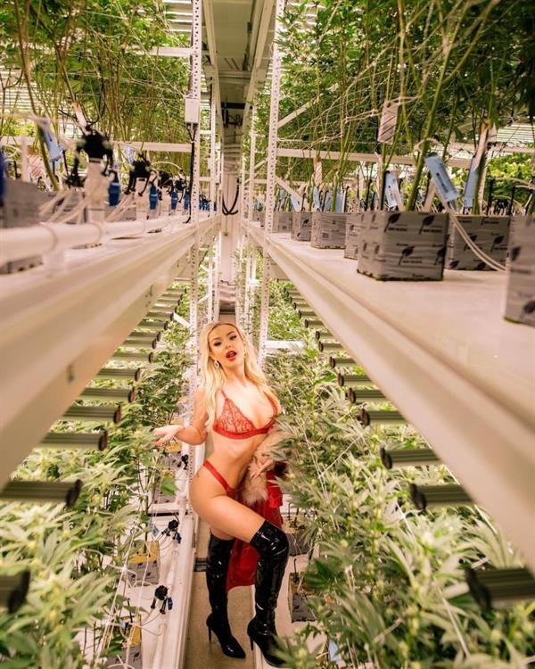 Tana Mongeau boobs showing nice cleavage with her tits and sexy ass in hot lingerie matching bra and thong panties in a photoshoot at a weed grow op.