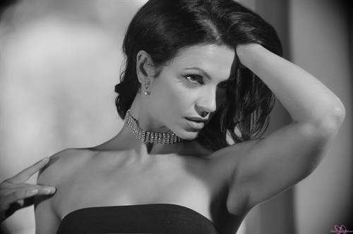 Denise Milani Photoset - Glamorous