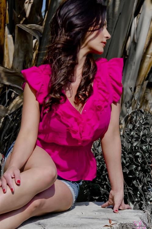 Denise Milani Photoset - OutInPink