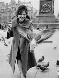 Claudia Cardinale