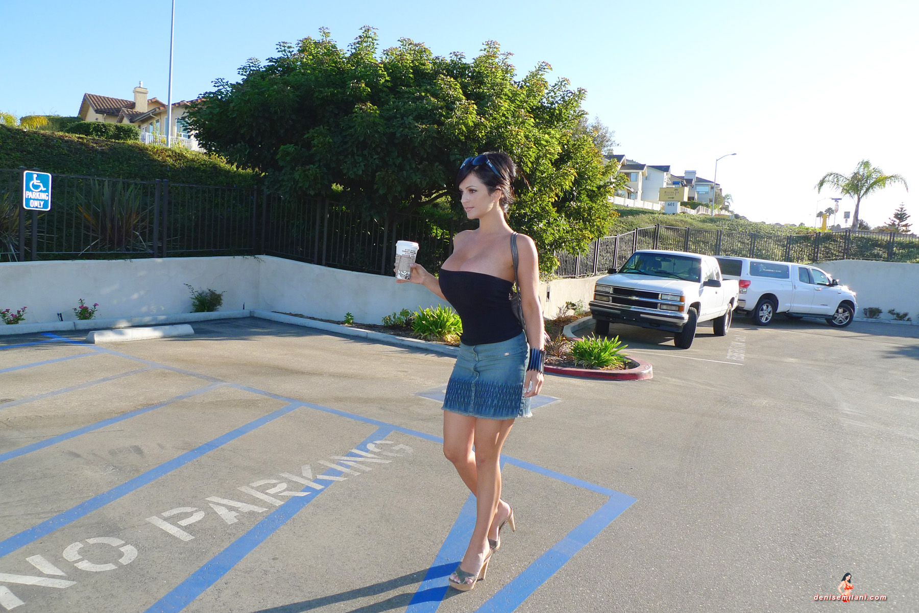 Denise Milani Snapshots - Tube