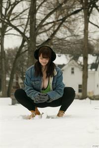 Daisy Wensday Strips in the Snow