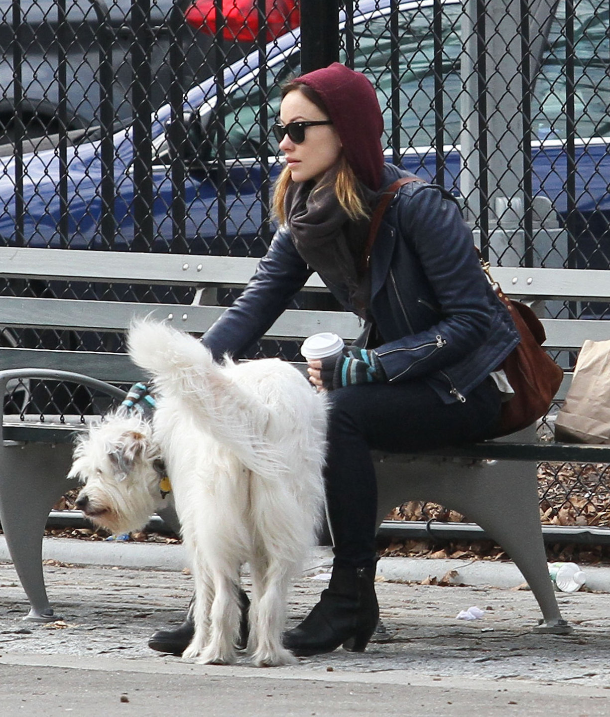 Olivia Wilde out walking her dog in New York City - February 16, 2013 
