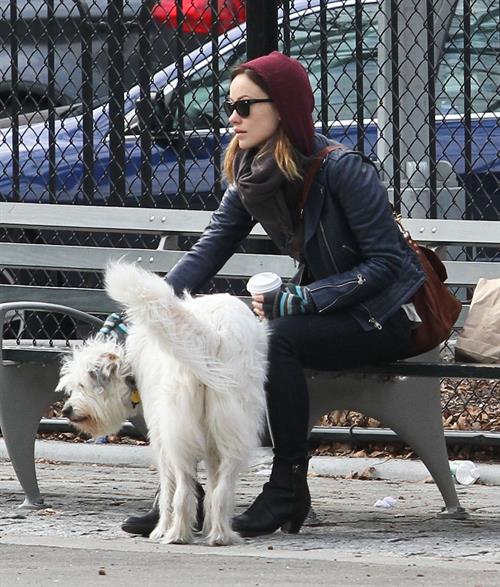 Olivia Wilde out walking her dog in New York City - February 16, 2013 