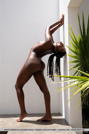 Dakota Simone Nude Pictures Hot Tantra