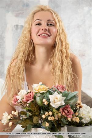 Scarlett Queen Nude Pictures Lace Seduction