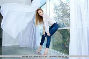 Elle Tan Nude Pictures Sheers