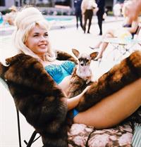 Jayne Mansfield