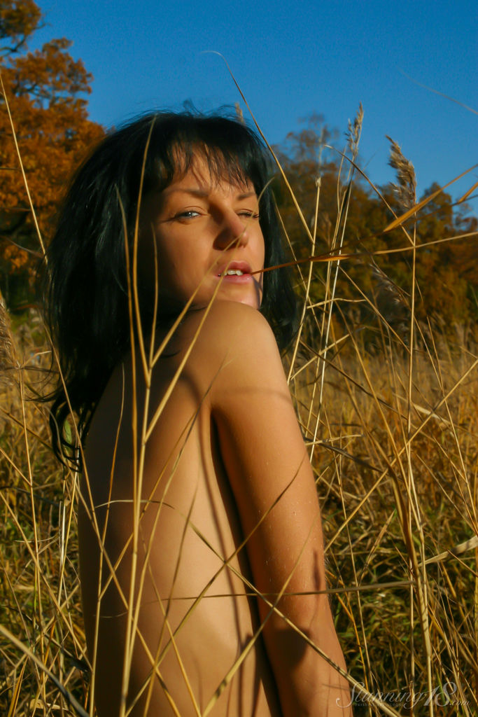 Uriana - Dry Branches