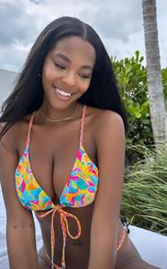 Allie Redmond Bikini Pictures Miami