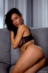 HollyRandall: Spitfire