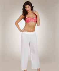 Nicole Williams English