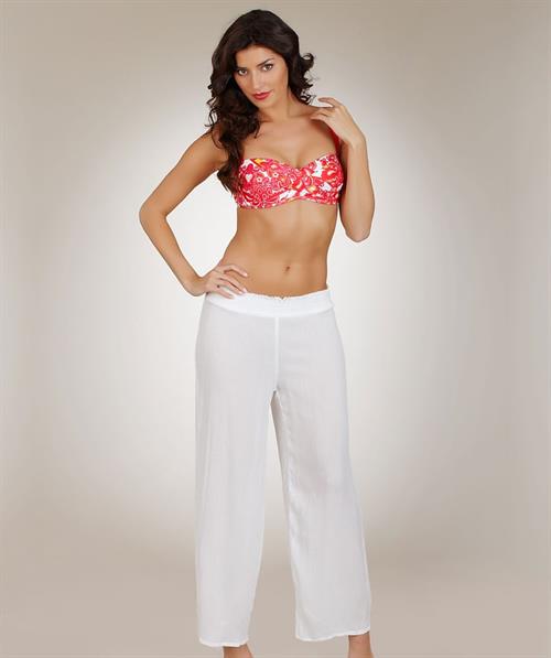 Nicole Williams English