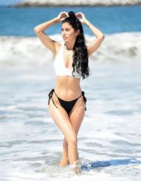 Nicole Williams English