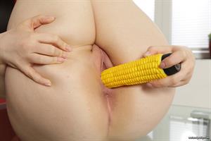 Venom Melli Nude Pictures Tempting Taco