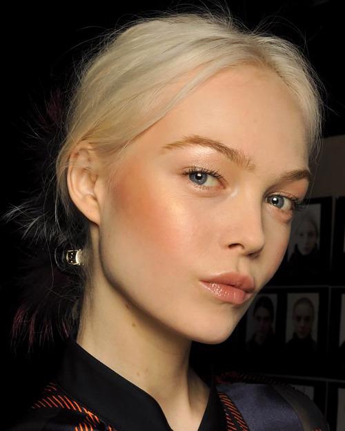 Siri Tollerød