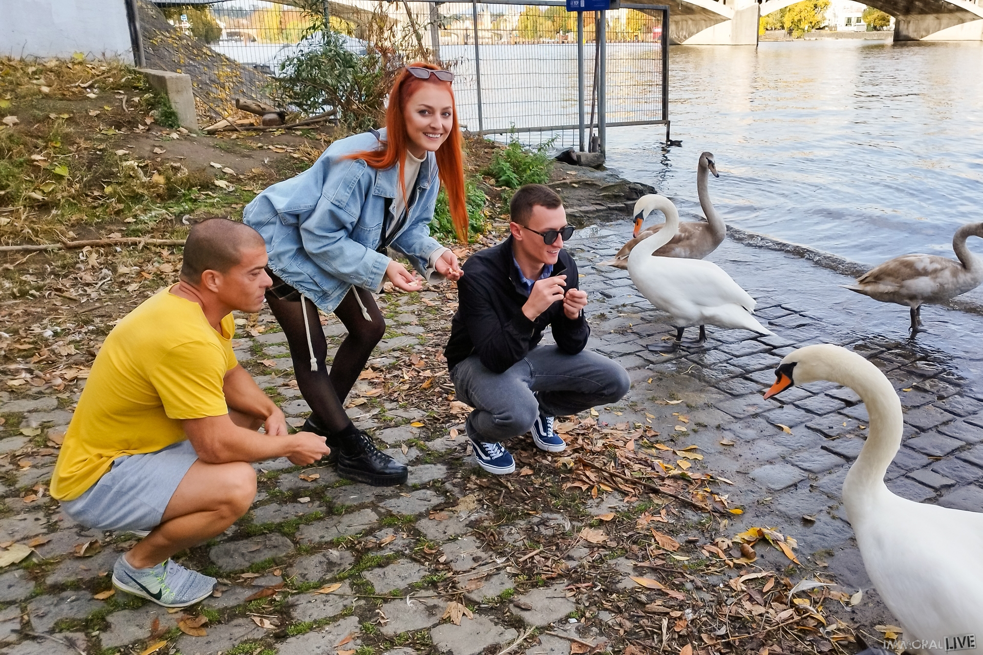 VALLEY of SWANS DOUBLE PUSSY PARADISE FIRST (DVP) FOR KATY ROSE