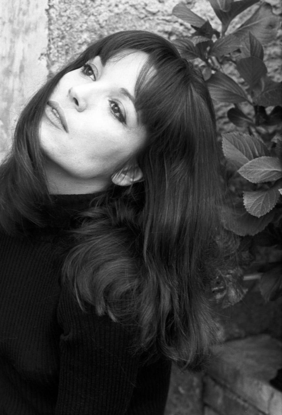 Elsa Martinelli Pictures