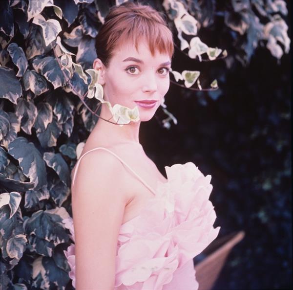 Elsa Martinelli