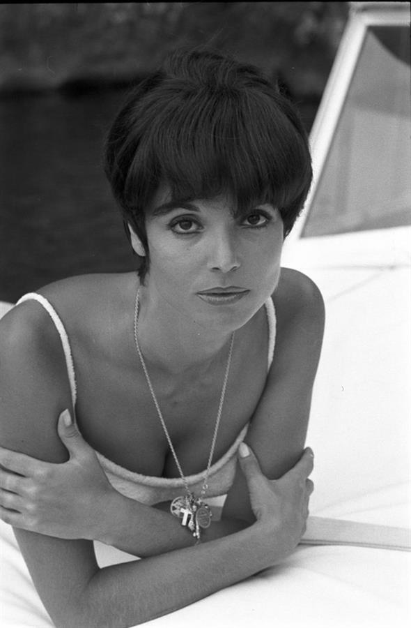 Elsa Martinelli in a bikini