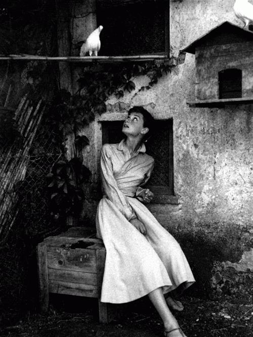 Audrey Hepburn