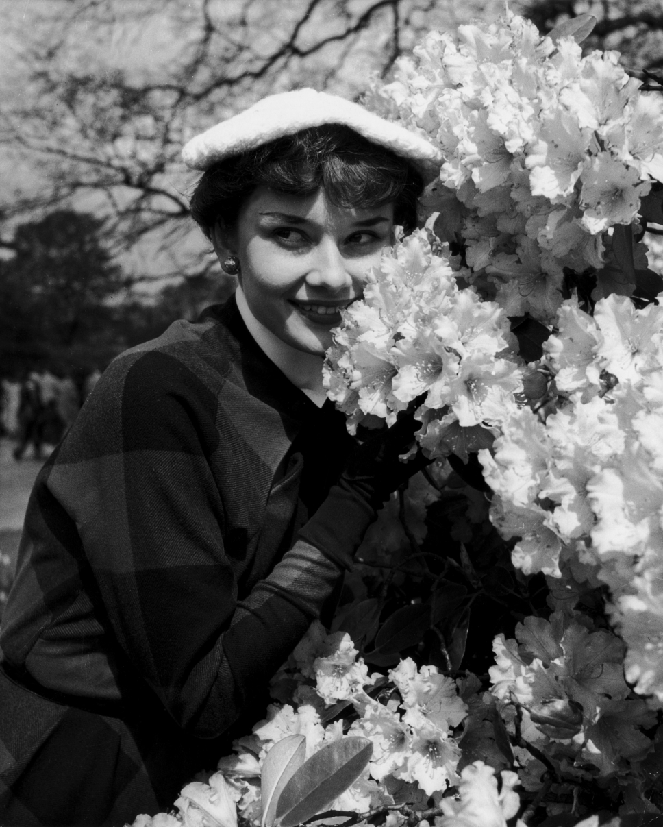 audrey-hepburn