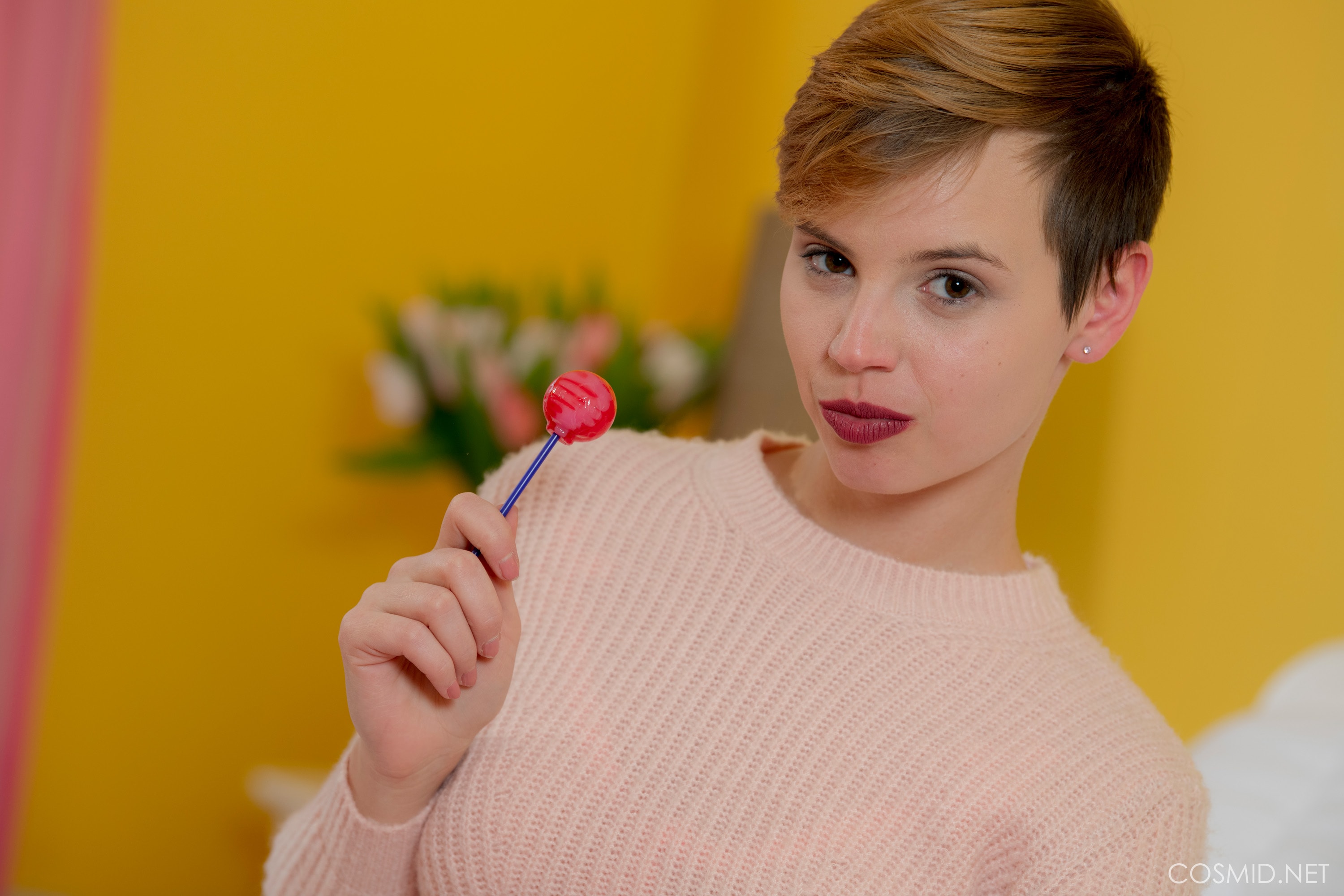 Elizabeth's Pink Bed Set