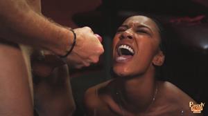 Tru - Ashlynn Brooke & Gracie Glam & Lana Violet & Lindy Lane & Misty Stone & Say Sights & Vanessa Naughty