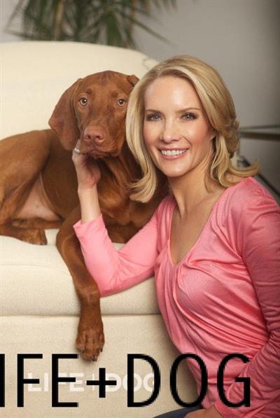 Dana Perino