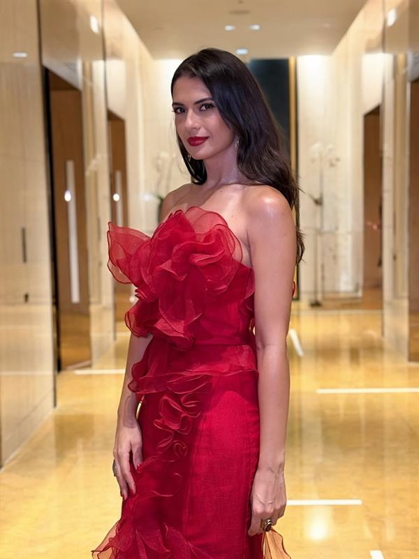 Priscilla Meirelles