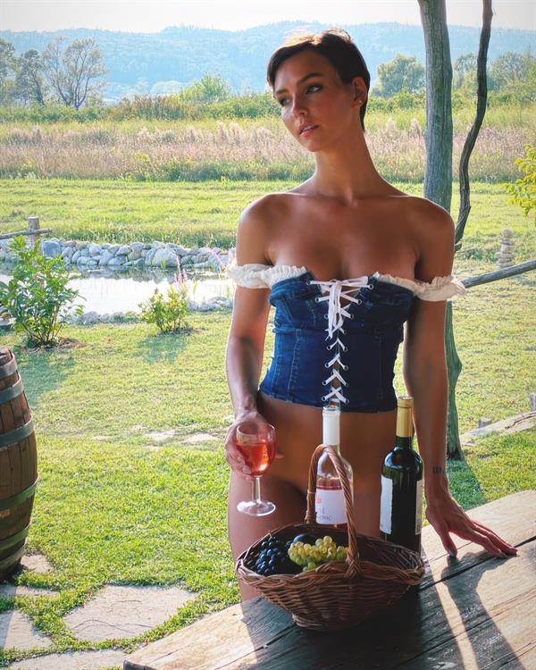 Wine Country