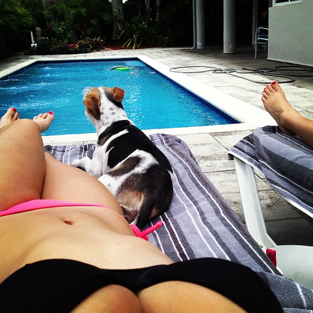 Angie Varona in a bikini