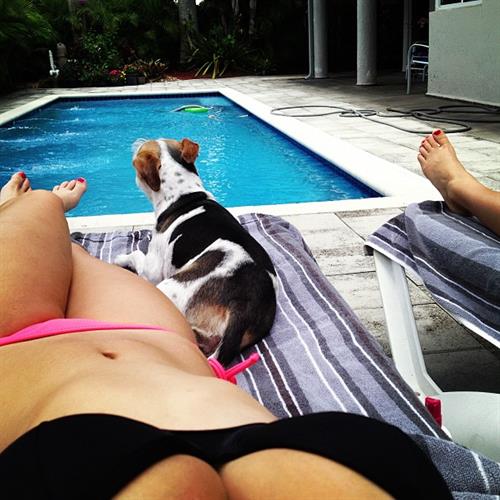 Angie Varona in a bikini