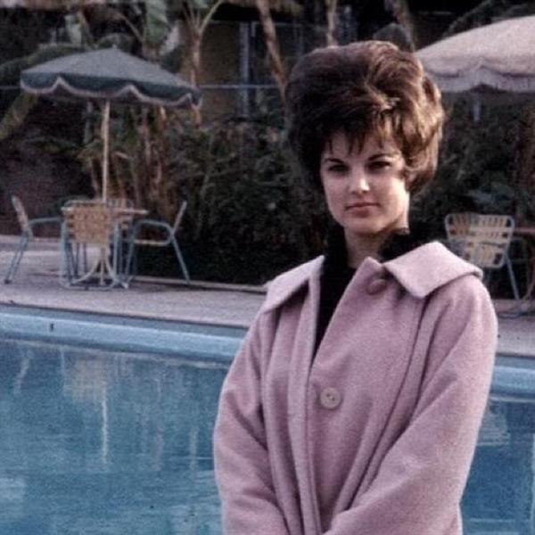 Priscilla Presley