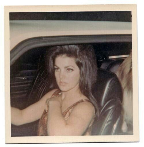 Priscilla Presley