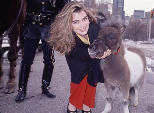 Brooke Shields