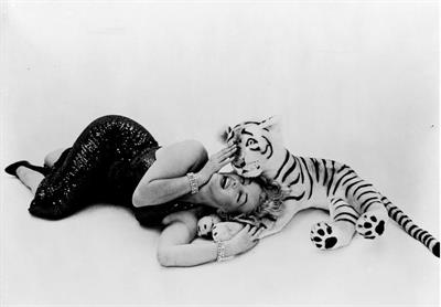 Marilyn Monroe Pictures Marilyn Monroe
