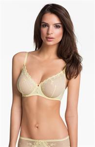 Emily Ratajkowski in lingerie